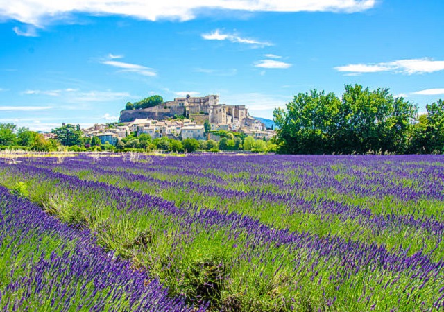 Valensole